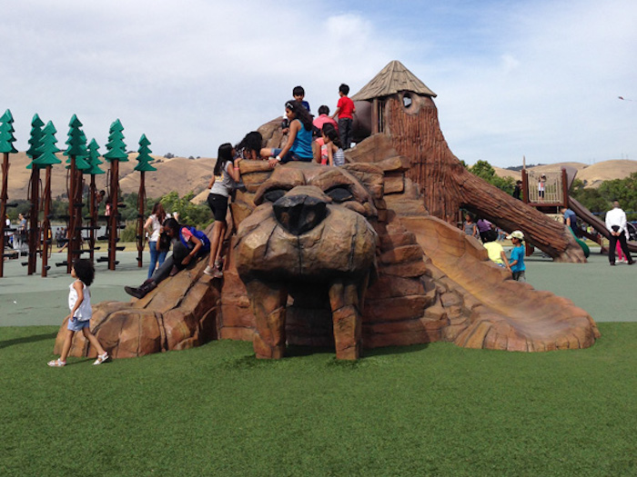 Central Park Fremont play structure