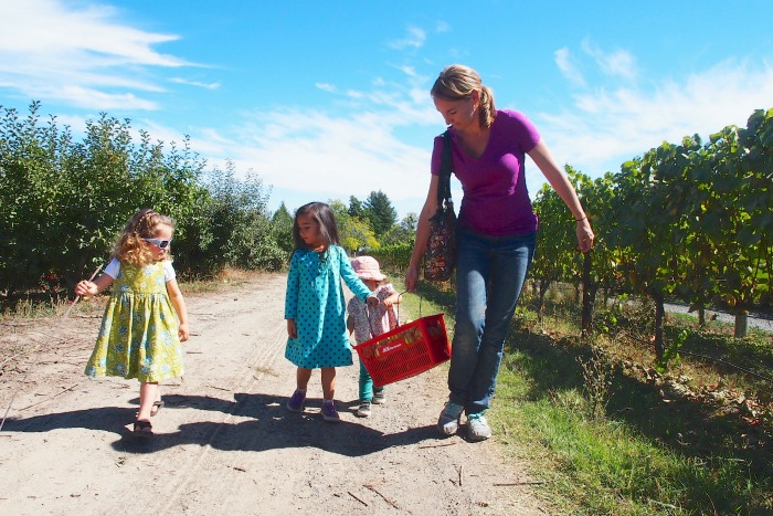 Sebastopol apple-picking photo by Becky Matthews