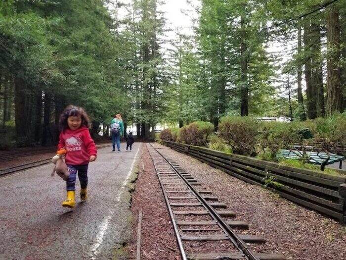 Tilden Park Steam Trains