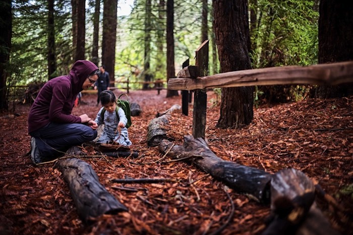 Child and parent looking at salamander in woods