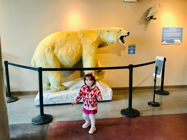 child in front of polar bear statue