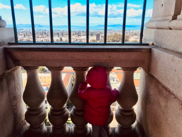 toddler looking through railing at view