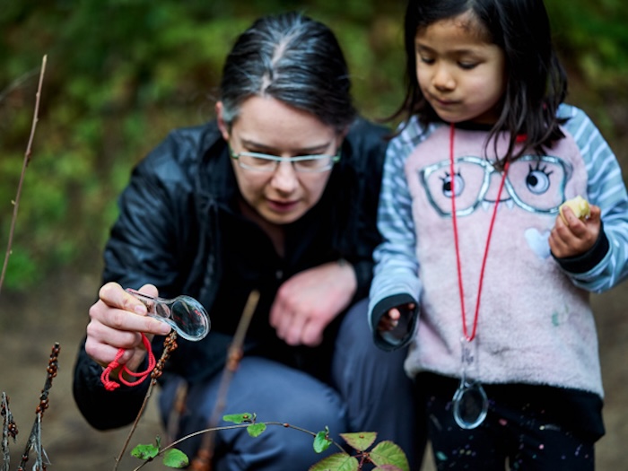 adult and child looking at ladybugs with magnifying glasses