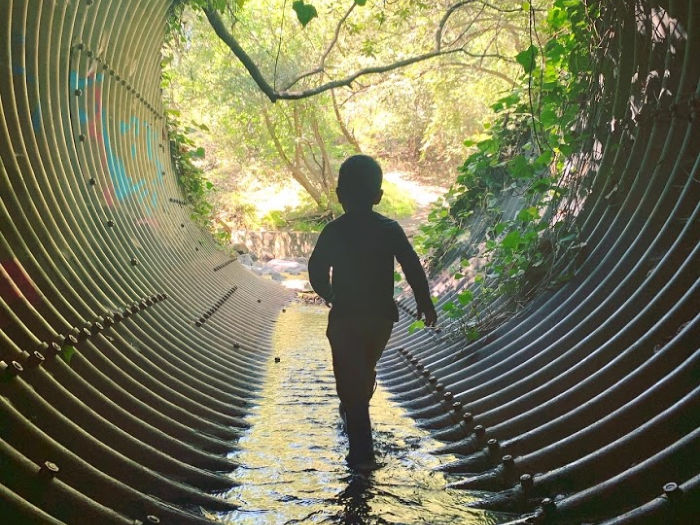 creek explorations at Alvarado Park