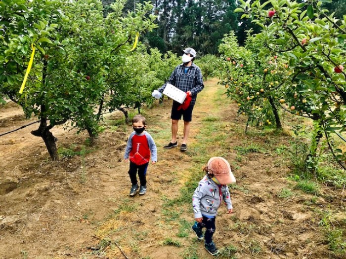 https://d12xor56xjll8j.cloudfront.net/wp-content/uploads/2020/08/06141547/Gabriel-Farm-Apple-Picking.jpg