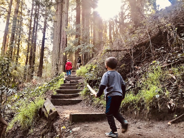 Bridgeview Trail Stairs