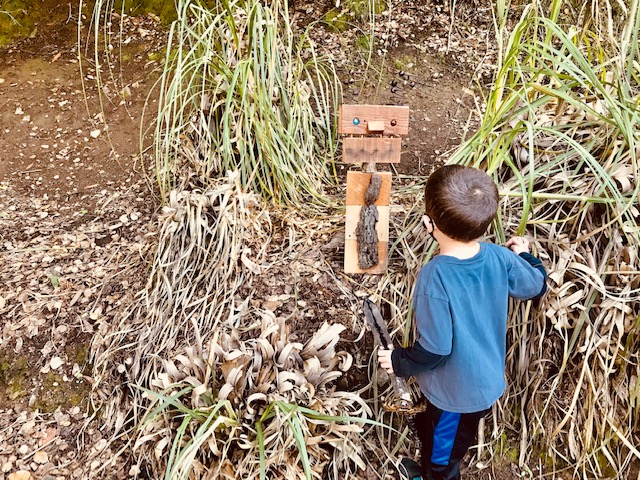 Bridgeview Trail Troll