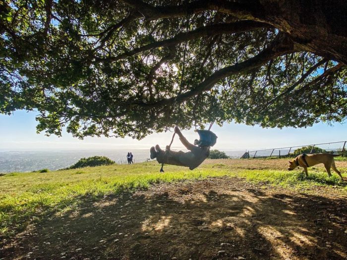 kid on rope swing