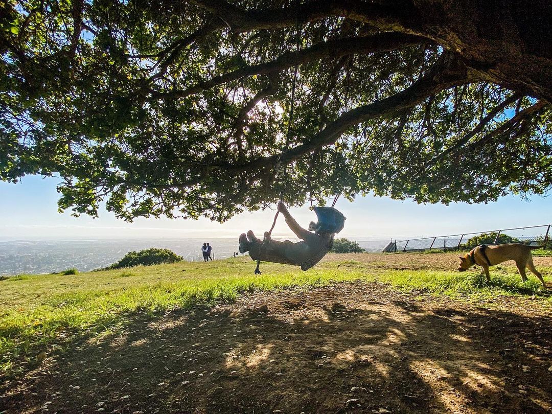 knowland park swing