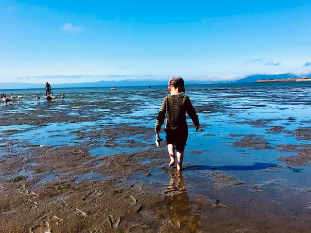 child walking at low tide