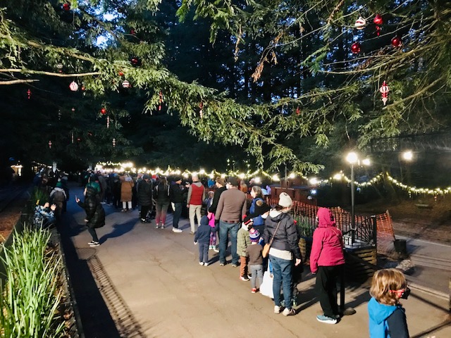 people standing in line at night