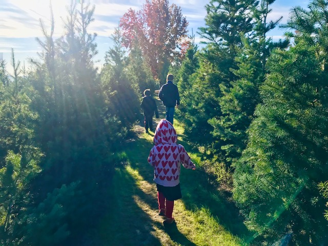 children walking through forrest