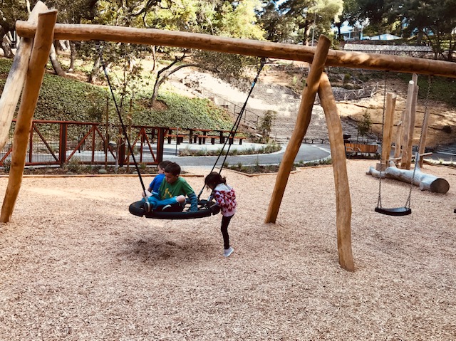 children on saucer swing