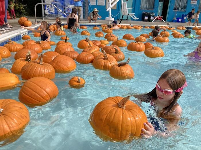 Girl swimming with pumpkins in pool