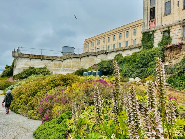 gardens of Alcatraz