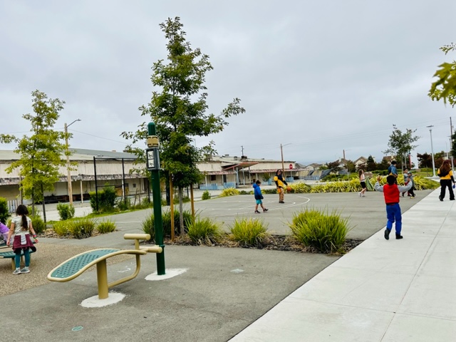 playground with kids on it