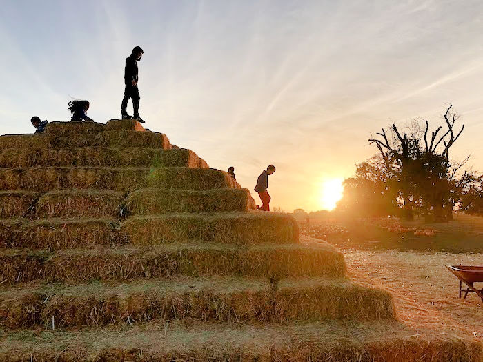 hay pyramid at ardenwood with kids climbing