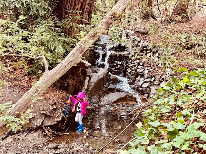 child in pink jacket walking by creek